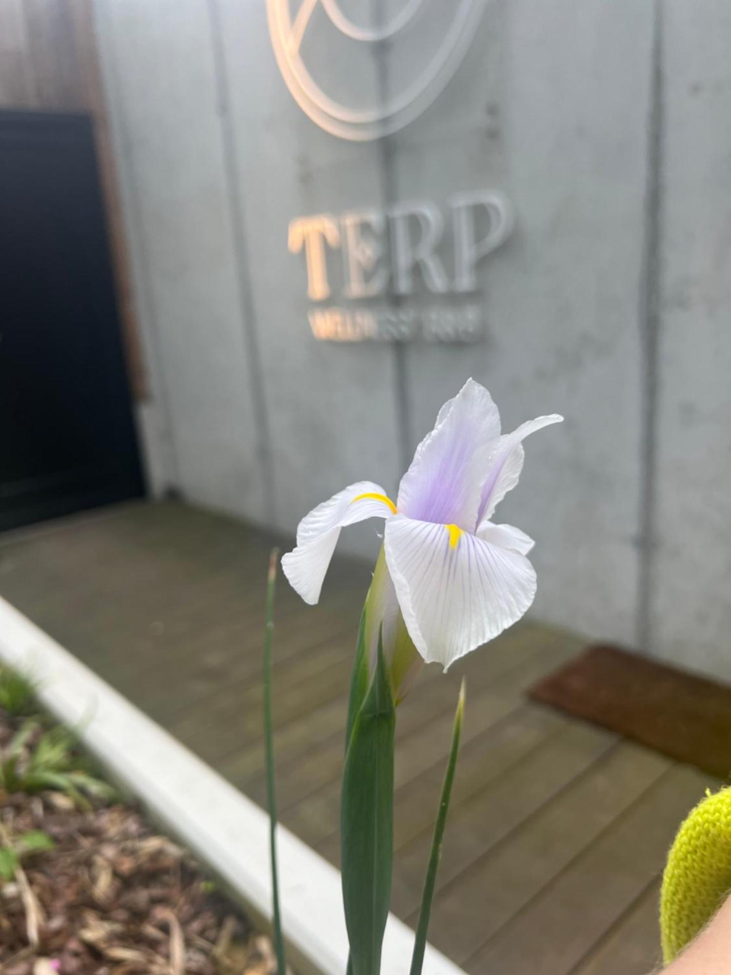 Terp Bed & Breakfast Поперинге Екстериор снимка